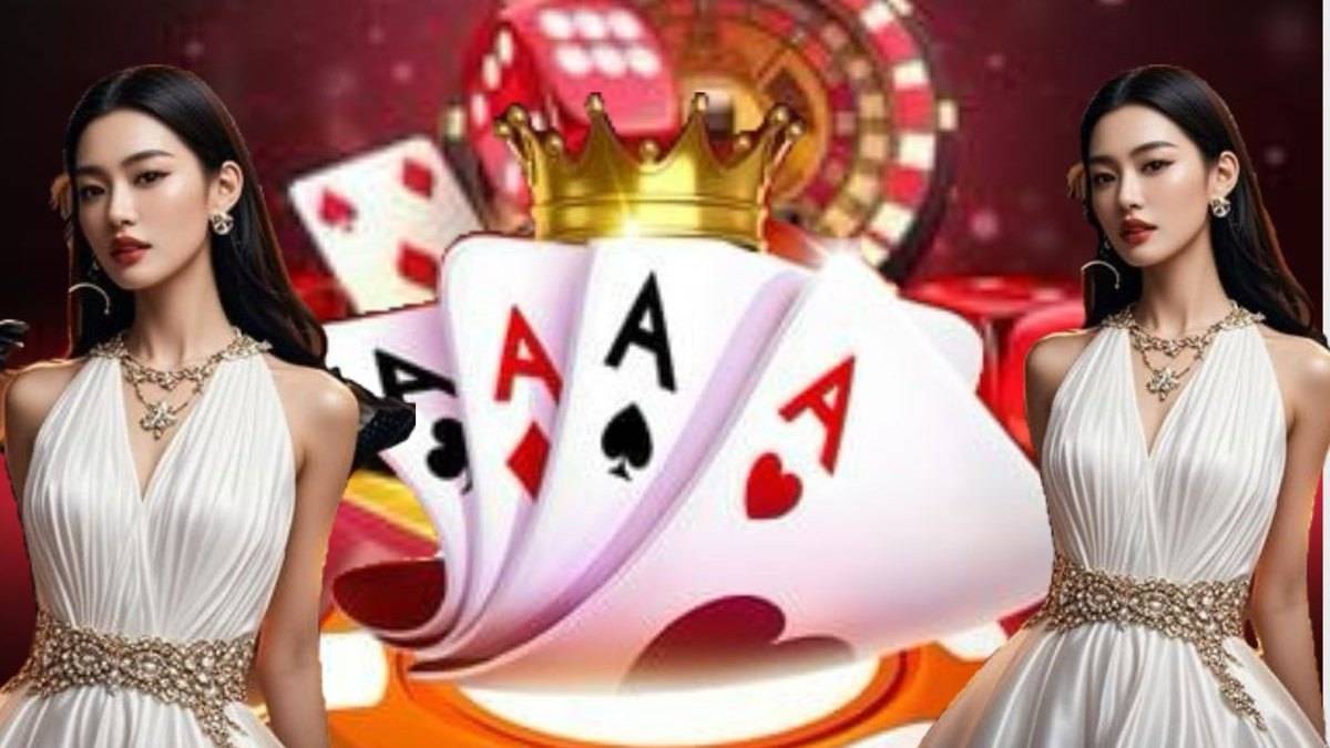 55933bet